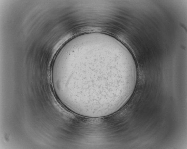 X0000102791090200809081044