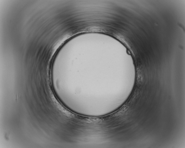 X0000102791091200809081044