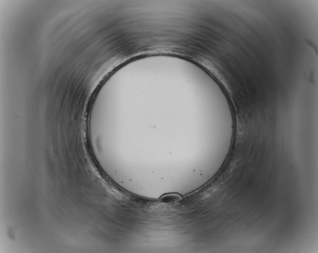 X0000102791093200809081044