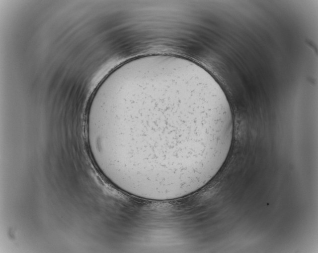 X0000102791094200809081044