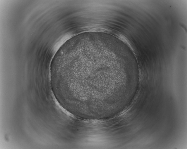 X0000102791095200809081044