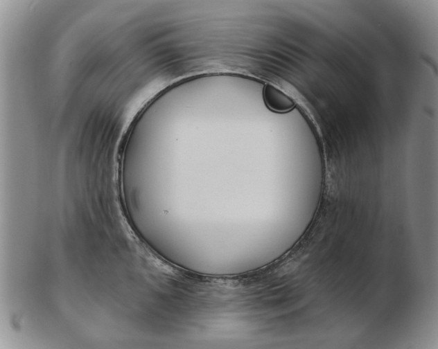 X0000102791096200809081044