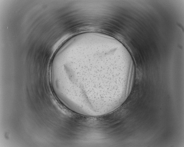 X0000102791098200809081044