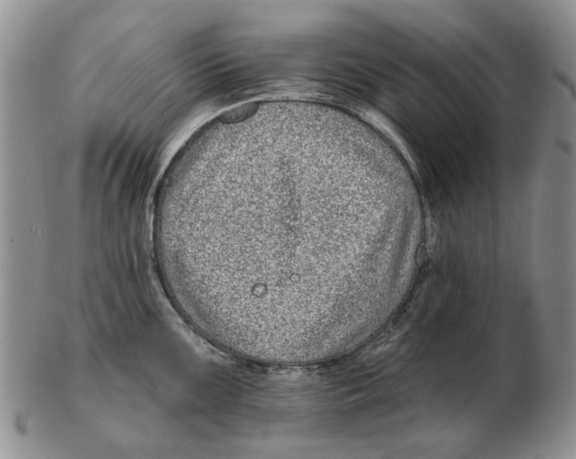 X0000102791099200809081044