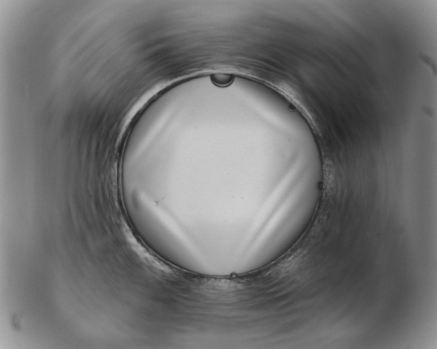 X0000102791100200809081044