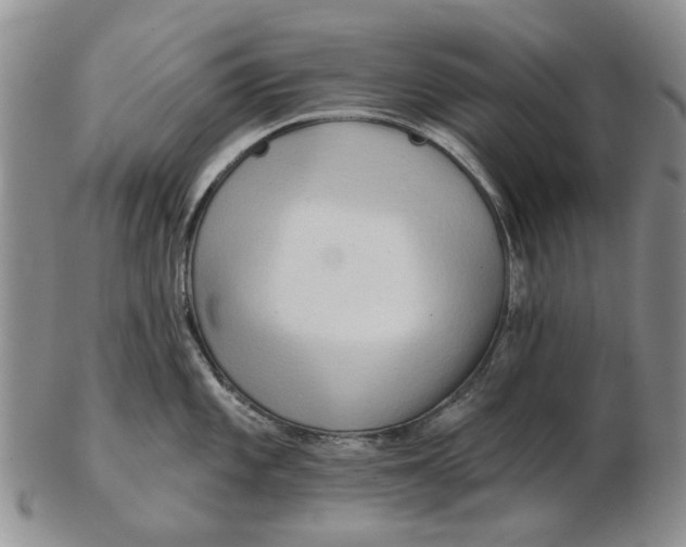 X0000102791101200809081044