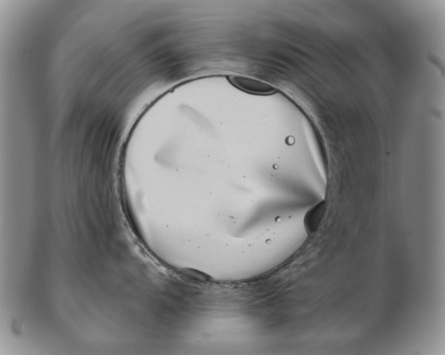 X0000102791104200809081044