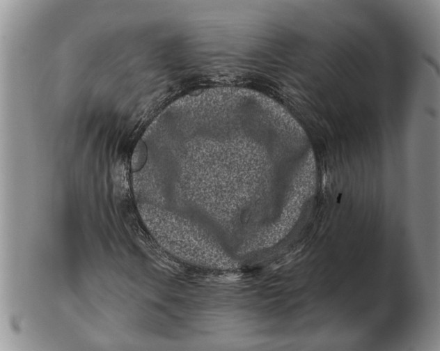 X0000102791106200809081043