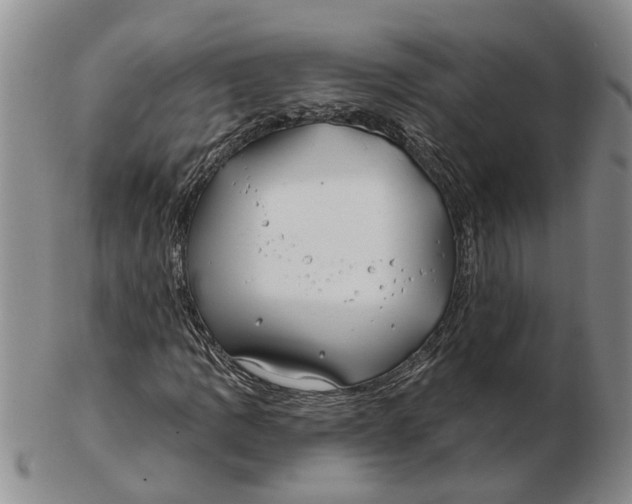 X0000102791109200809081043