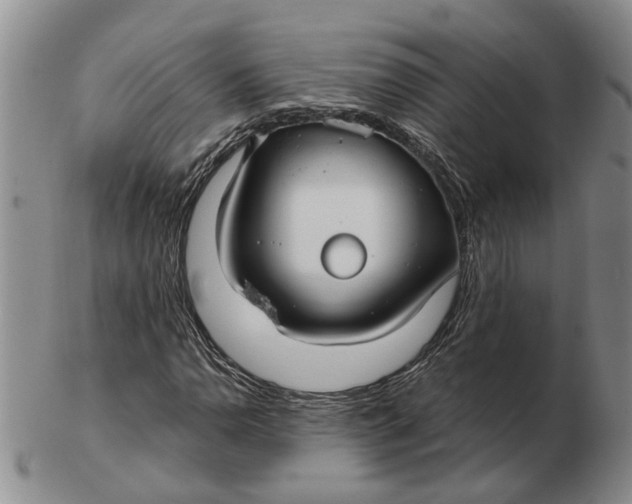 X0000102791110200809081043