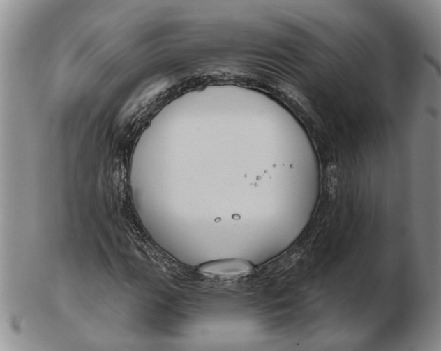 X0000102791111200809081043