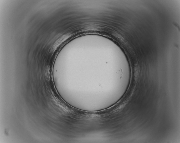 X0000102791113200809081043