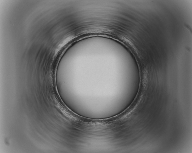 X0000102791114200809081043