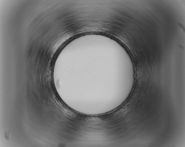 X0000102791119200809081043