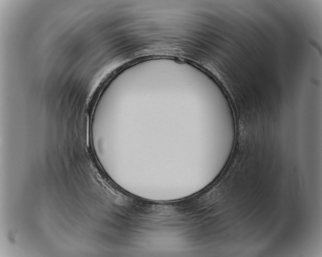 X0000102791123200809081043