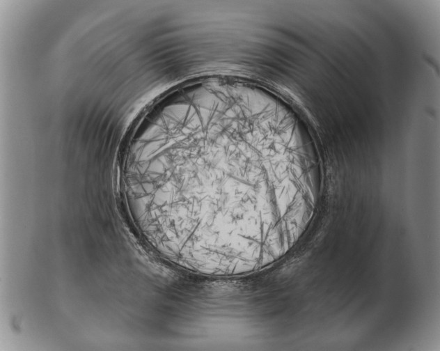 X0000102791125200809081043