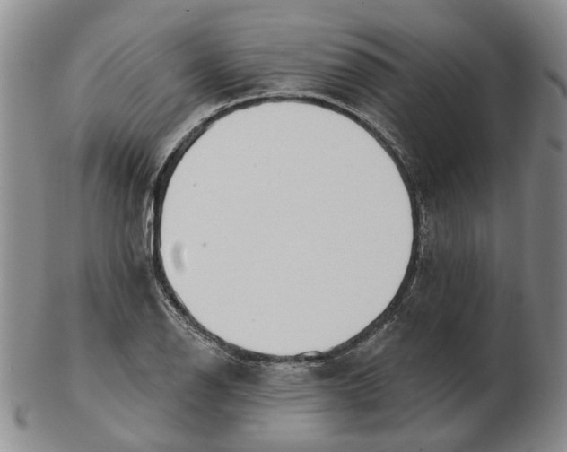 X0000102791126200809081043