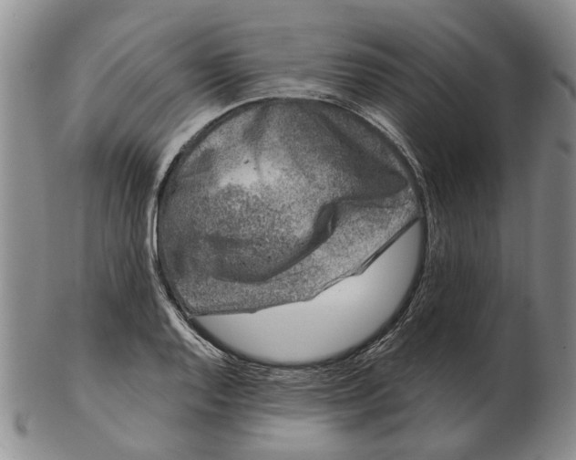 X0000102791128200809081043