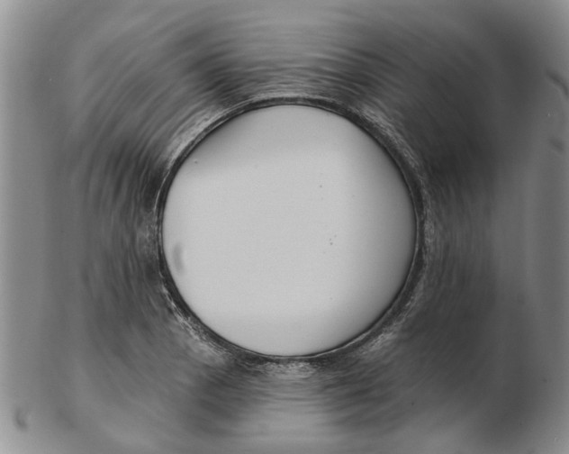 X0000102791129200809081043