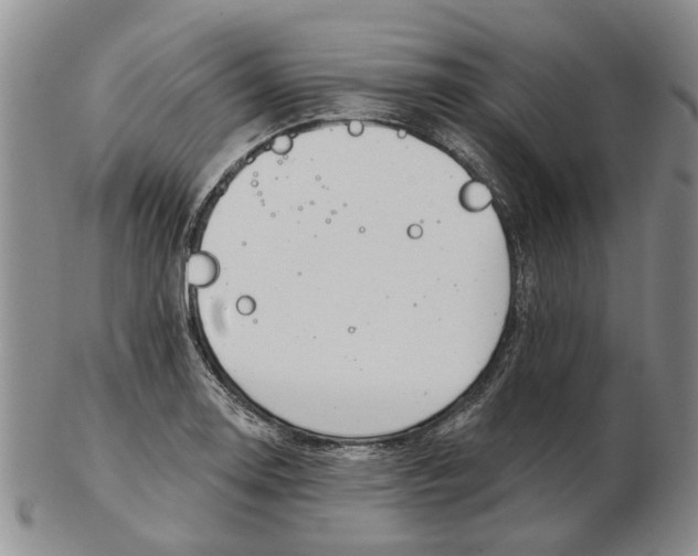 X0000102791130200809081043