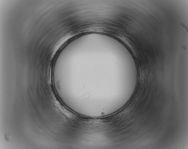 X0000102791131200809081043