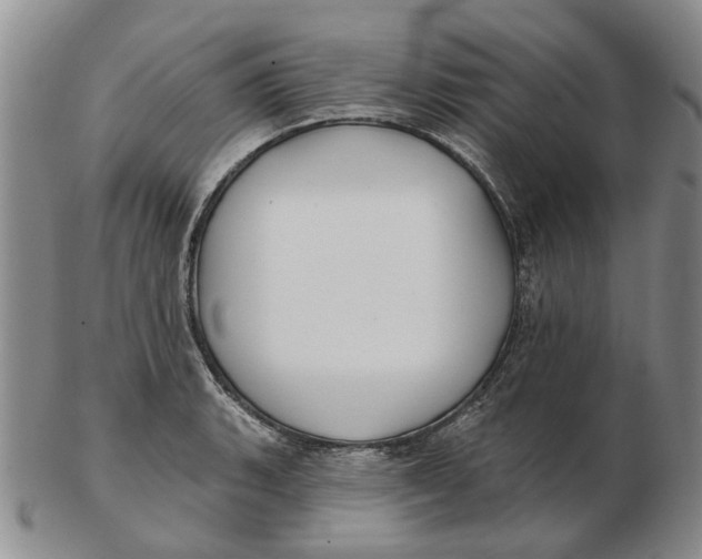 X0000102791135200809081043