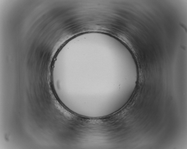 X0000102791136200809081044