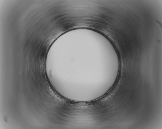 X0000102791137200809081044