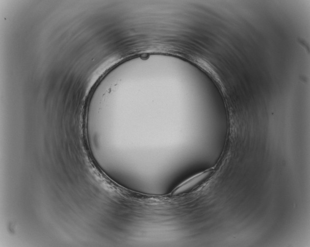 X0000102791138200809081044