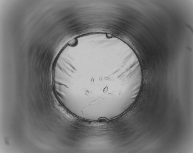 X0000102791140200809081044