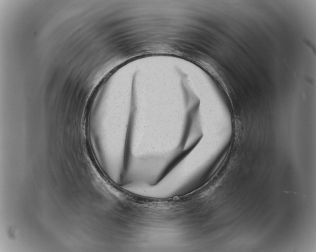 X0000102791141200809081044