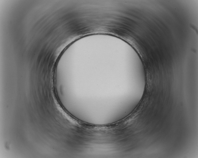 X0000102791142200809081044