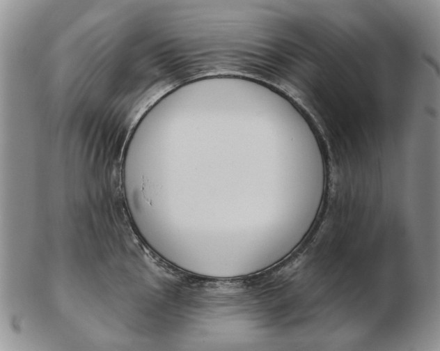 X0000102791145200809081044