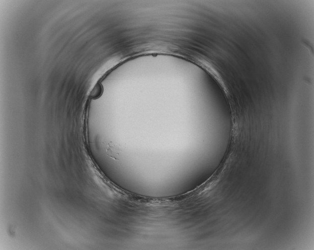 X0000102791146200809081044