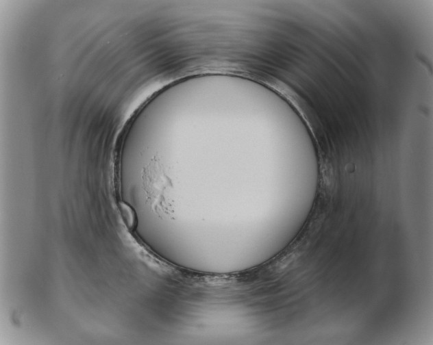 X0000102791147200809081044