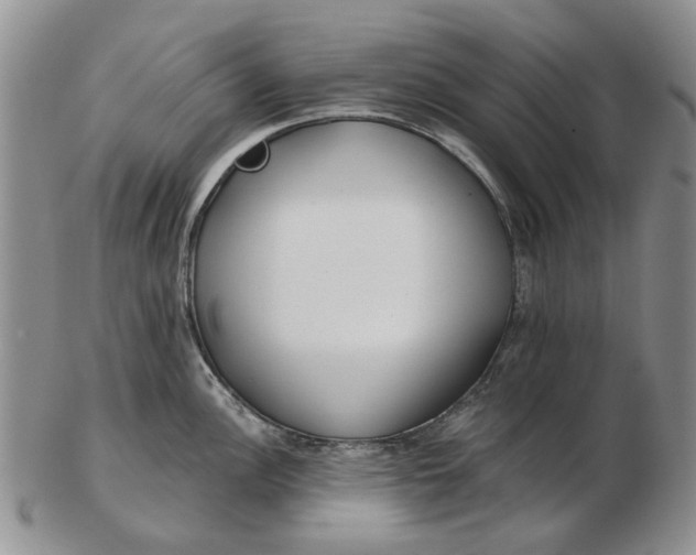 X0000102791148200809081044