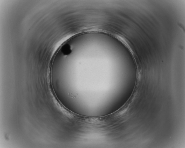 X0000102791149200809081044