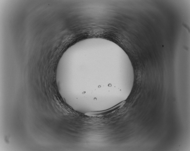 X0000102791153200809081043