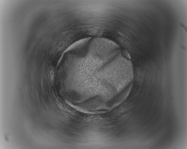 X0000102791154200809081043