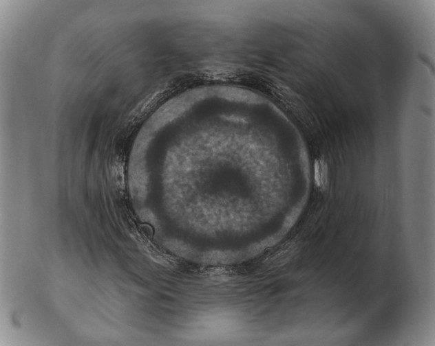 X0000102791155200809081043