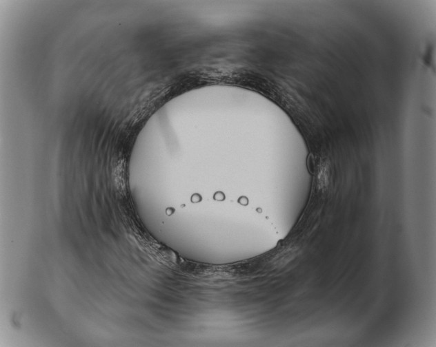 X0000102791156200809081043