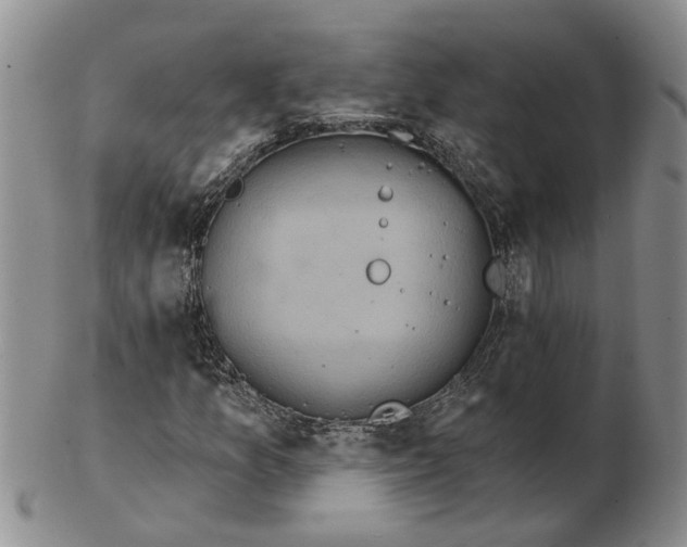 X0000102791157200809081043