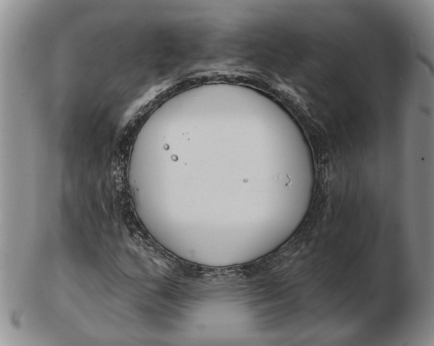 X0000102791159200809081043