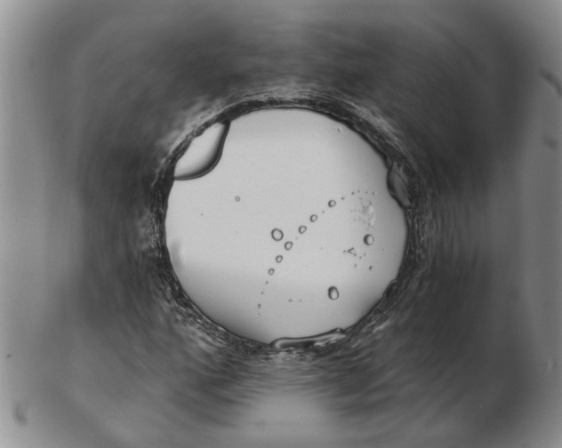 X0000102791160200809081043