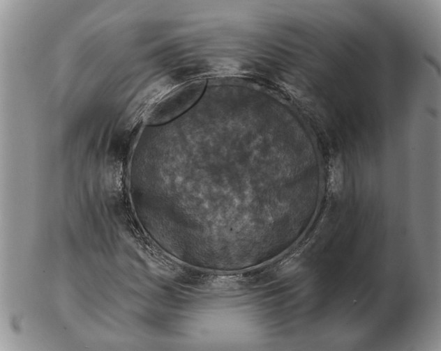 X0000102791161200809081043