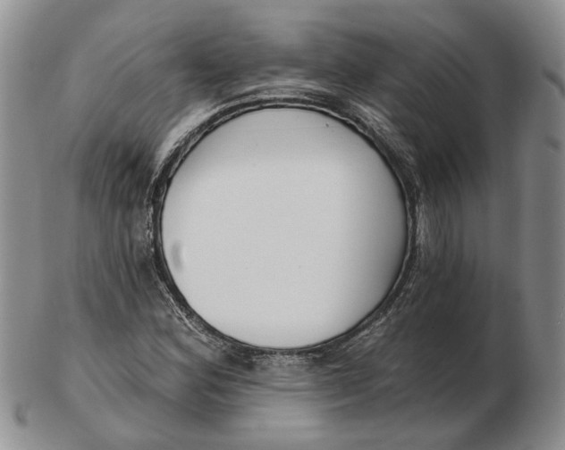 X0000102791164200809081043