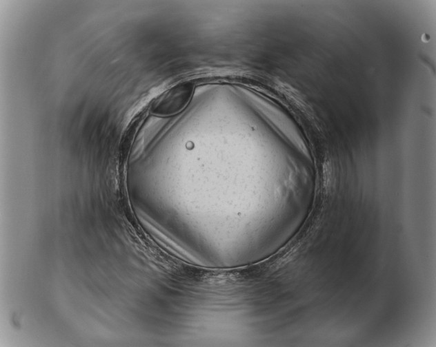 X0000102791165200809081043