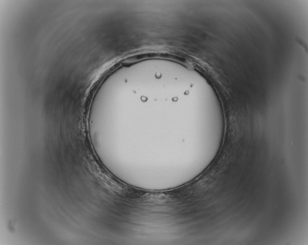 X0000102791168200809081043