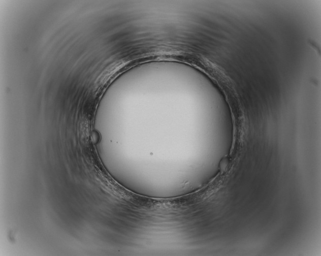 X0000102791169200809081043