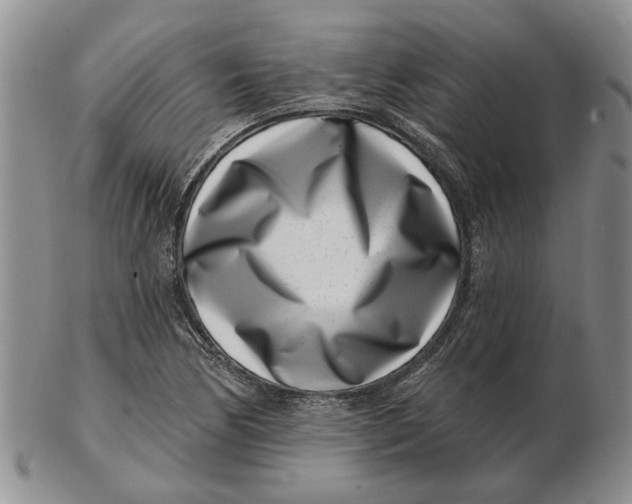 X0000102791170200809081043